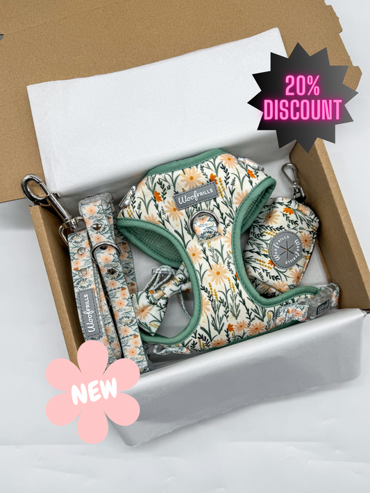 Dog harness , Dog collar and lead set | BUNDLE OF YOUR CHOICE | Wildflower Strolls- WATERPROOF collar & leash