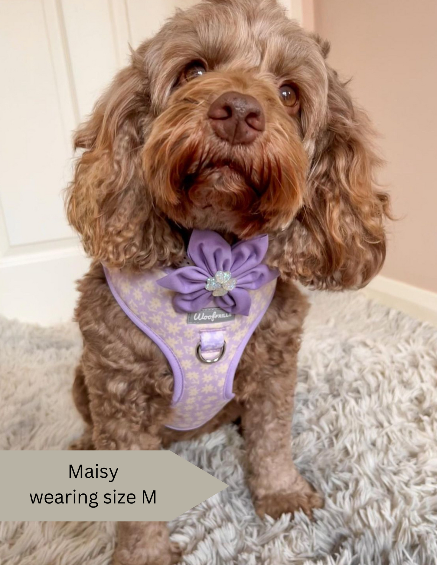Dog Harness | Bloom me away lilac
