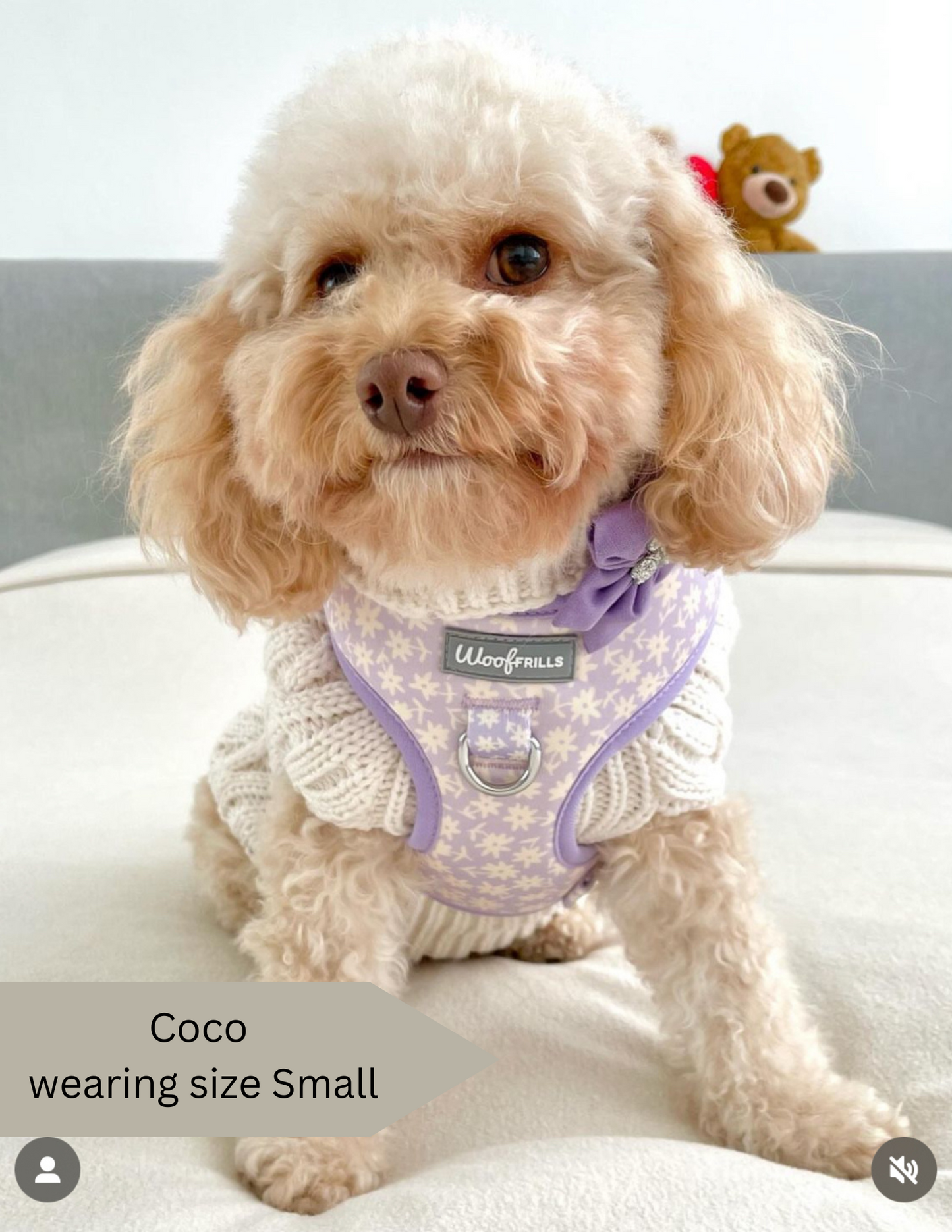 Dog Harness | Bloom me away lilac