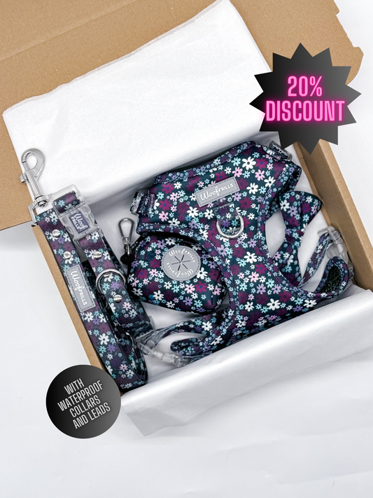 Dog harness , Dog collar and lead set | BUNDLE OF YOUR CHOICE | Twilight Bloom - With Waterproof collar & leash