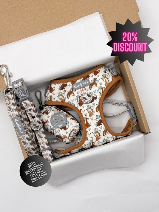 Dog harness , Dog collar and lead set | BUNDLE OF YOUR CHOICE | Enchanted fox - With Waterproof collar & leash