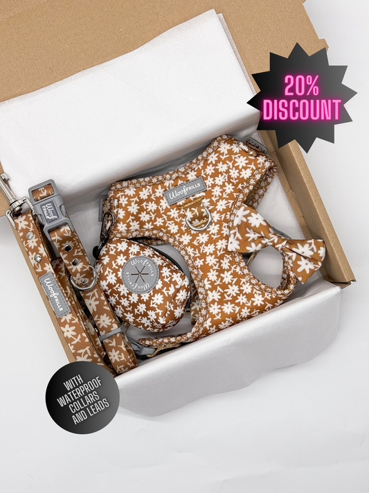 Dog harness , Dog collar and lead set | BUNDLE OF YOUR CHOICE | Bloom me away - WATERPROOF collar & leash