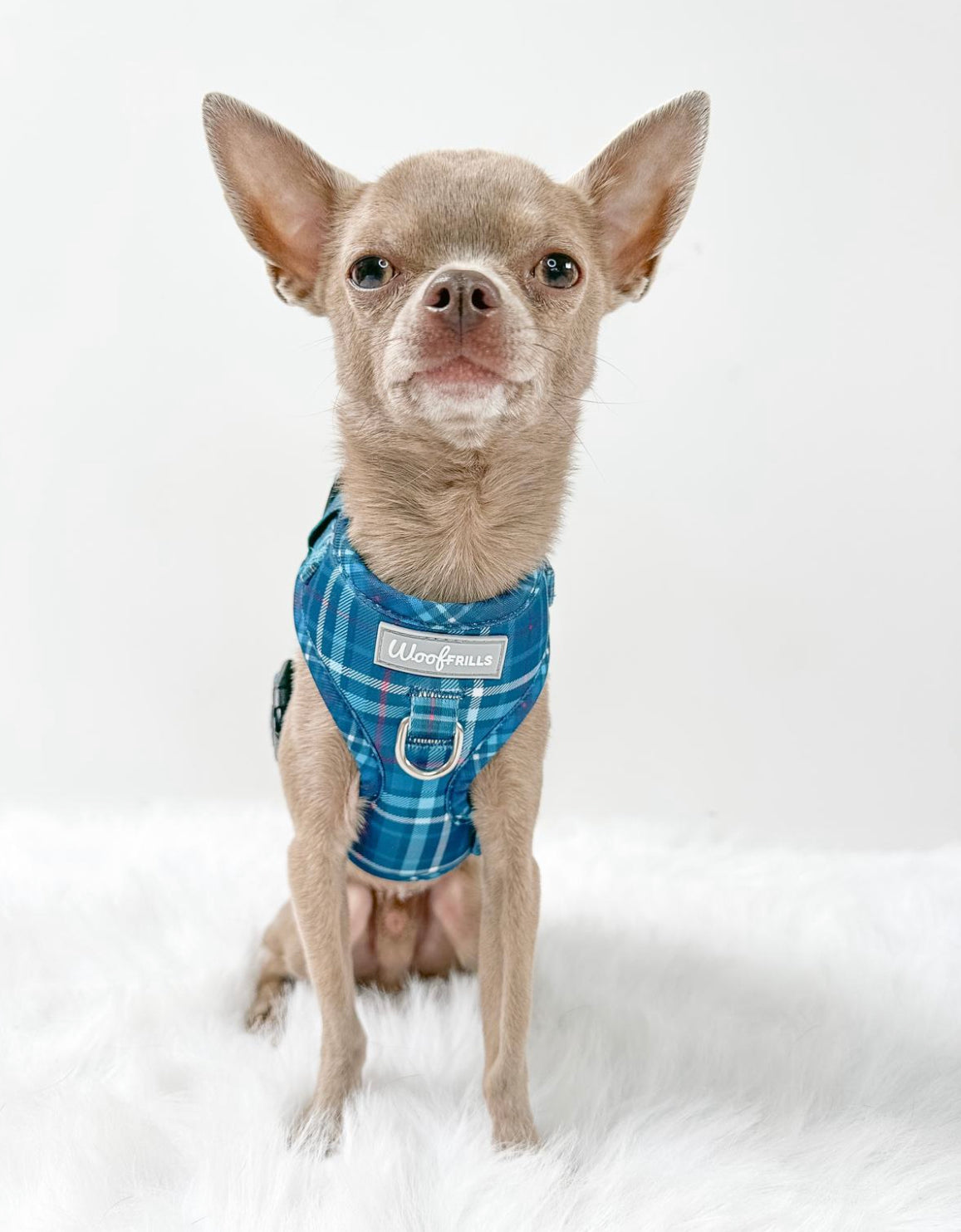 Dog harness, Dog collar and lead set | BUNDLE OF YOUR CHOICE | Plaid Date