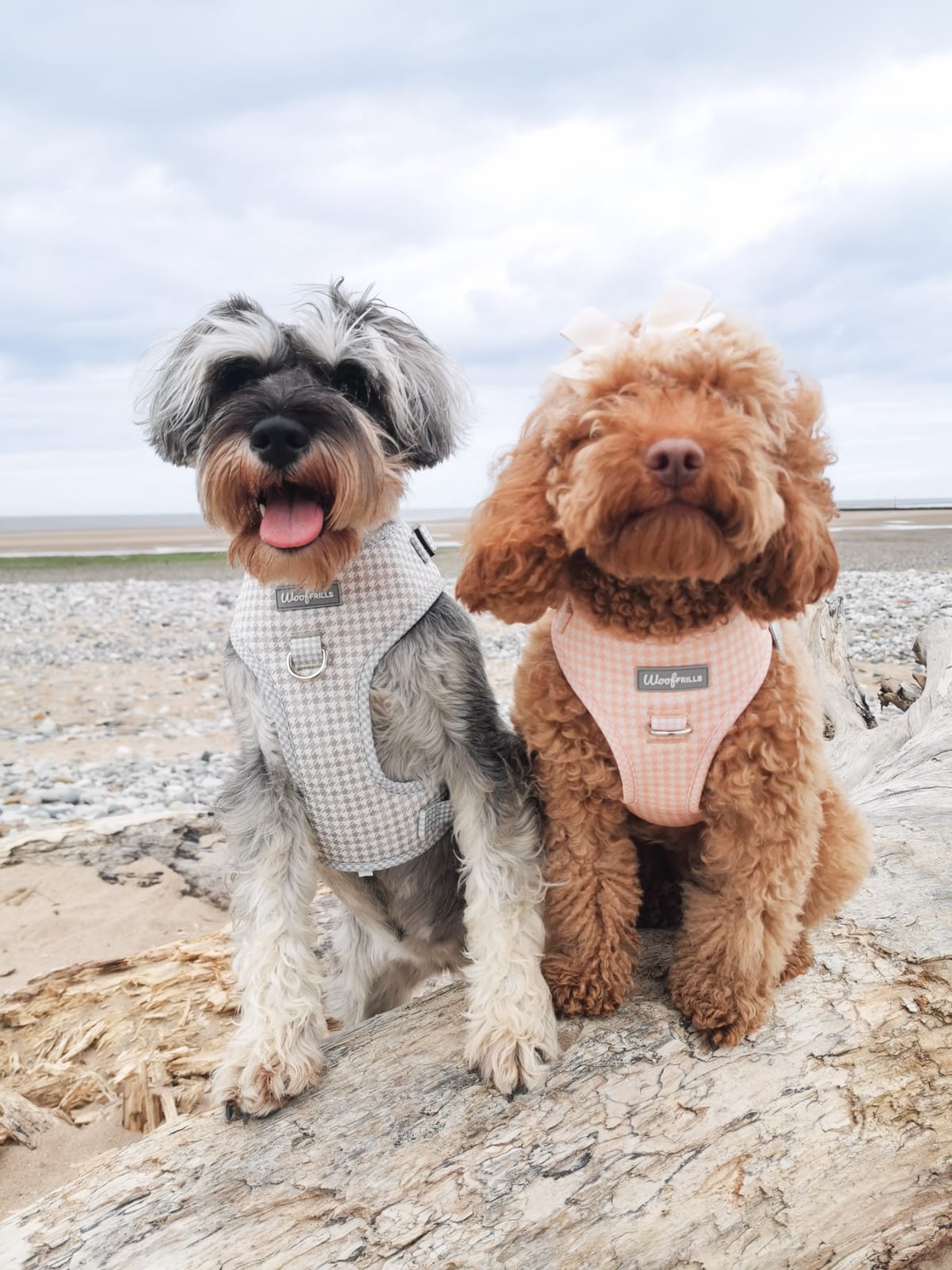 Dog Harness | Peach Please