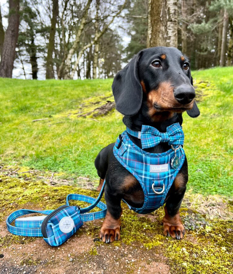 Dog harness, Dog collar and lead set | BUNDLE OF YOUR CHOICE | Plaid Date