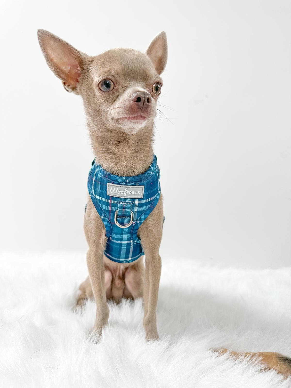 Dog harness, Dog collar and lead set | BUNDLE OF YOUR CHOICE | Plaid Date