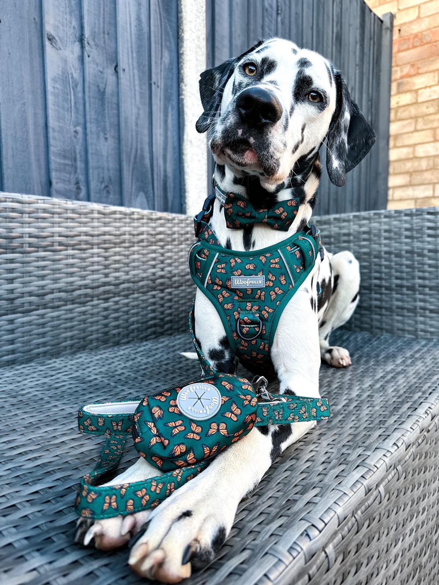 Dog Poop bag holder | Poop bag dispenser | Pupperfly Frills