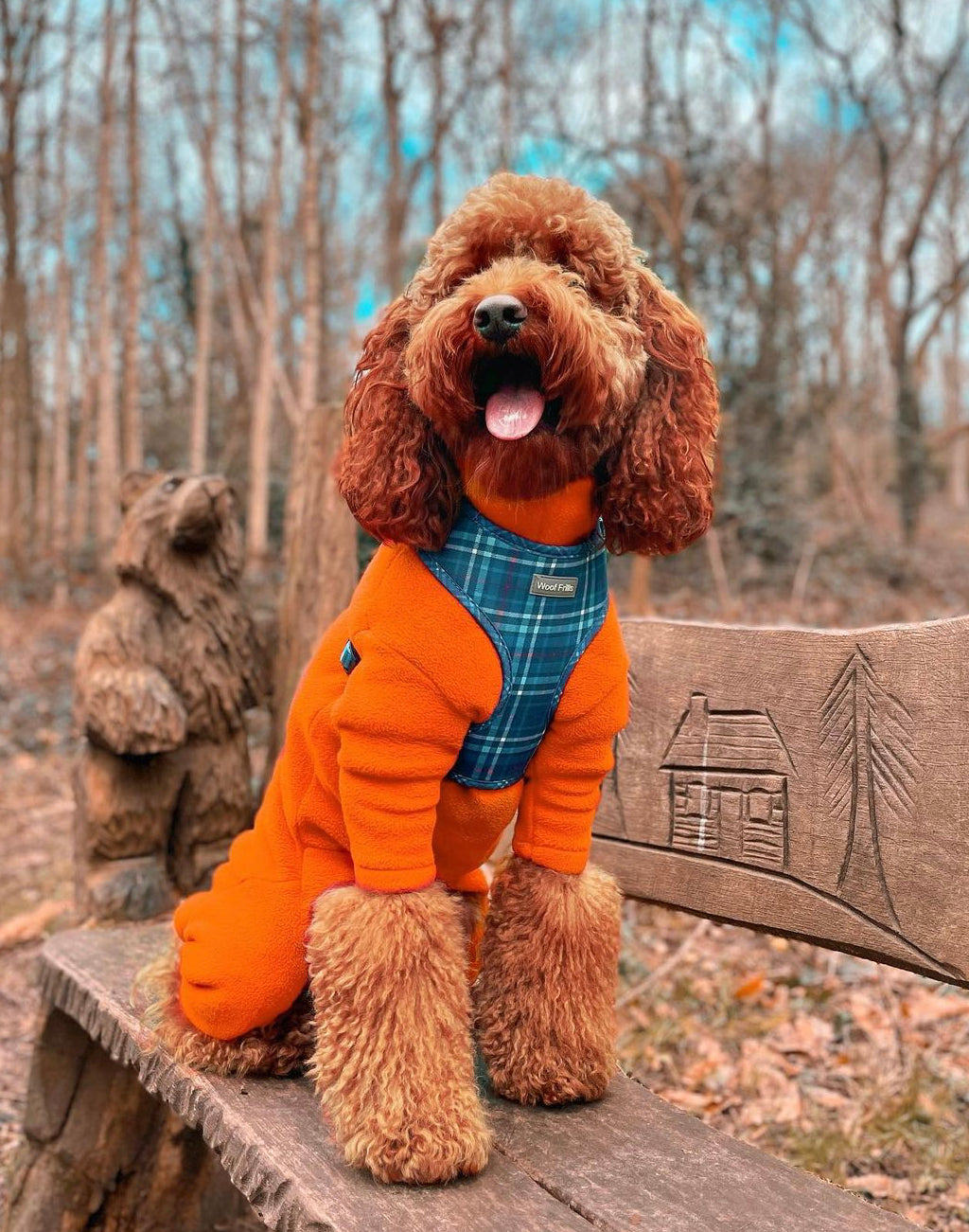 Dog harness, Dog collar and lead set | BUNDLE OF YOUR CHOICE | Plaid Date