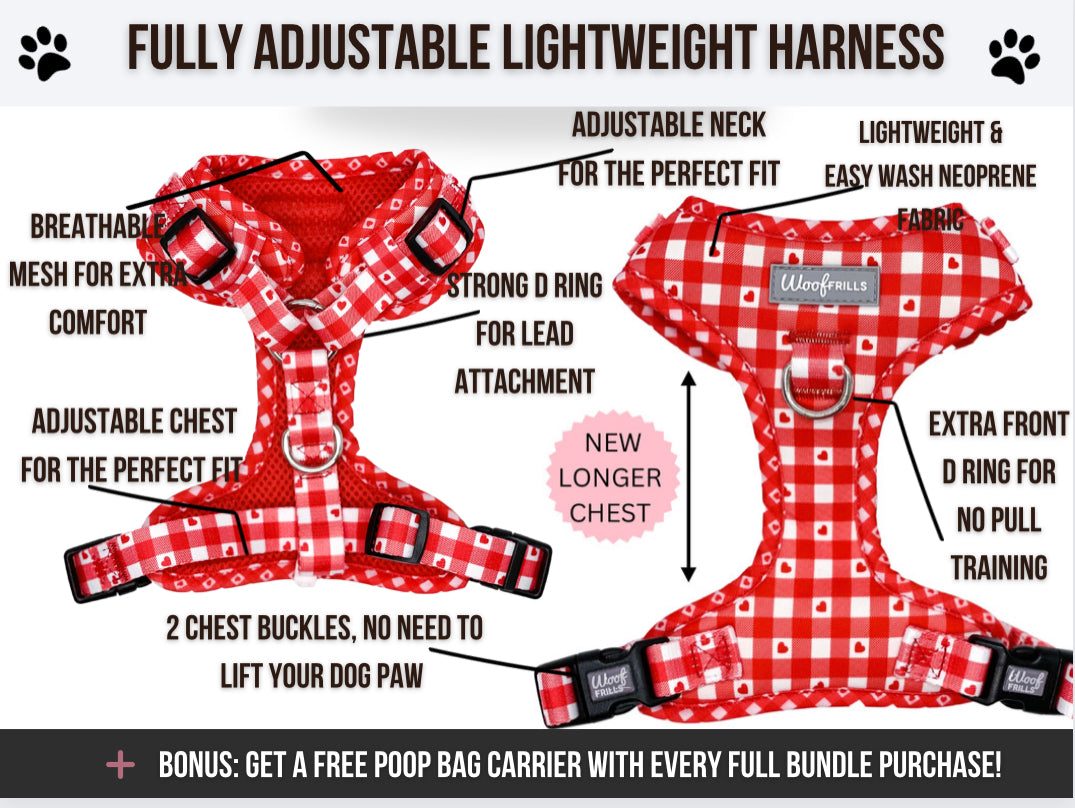 Dog Harness | Picnic to my heart
