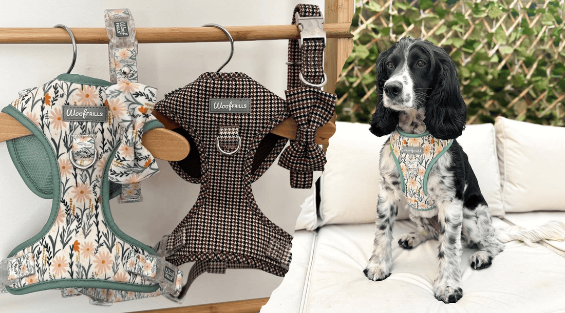 Heritage Hound & Wildflower Strolls adjustable dog harnesses by Woof Frills