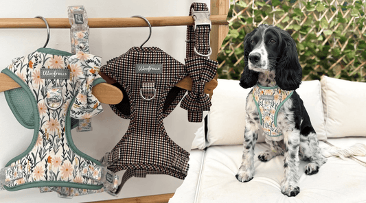 Heritage Hound & Wildflower Strolls adjustable dog harnesses by Woof Frills