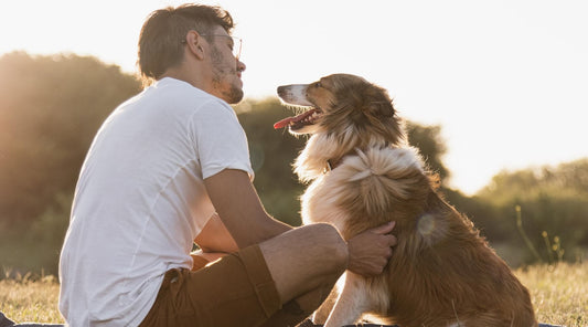 Back view of a young man with his dog confirms how dogs improve mental health