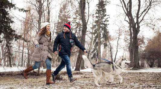 A happy couple walking their dog in the winter