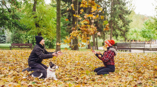 Two children, a boy and a girl, having fun with their dog in a park filled with colorful fall leaves, enjoying a fall activity