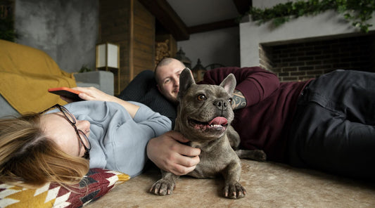 Cute couple, dog parents enjoying a happy time with their Frenchie bulldog