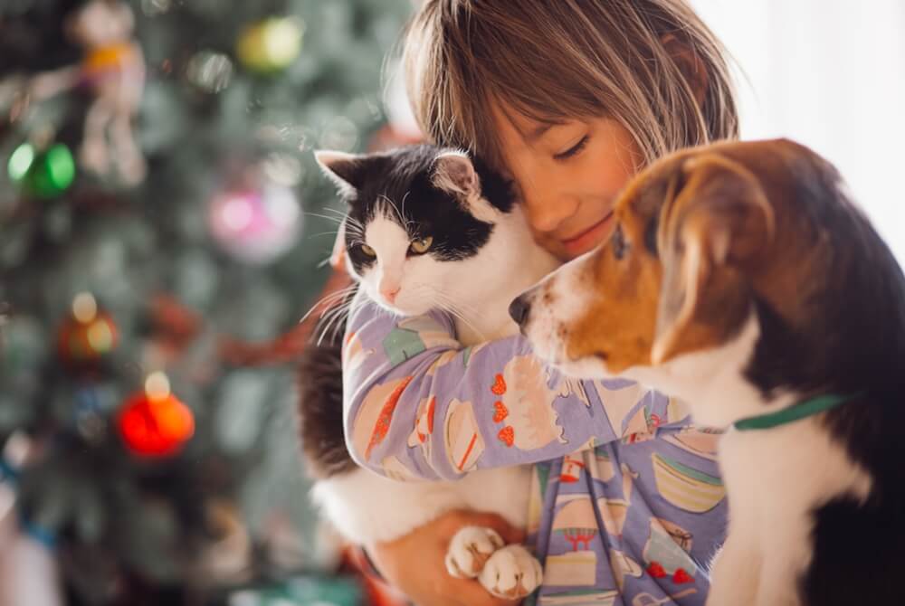 pretty girl share love with her cat and dog, 2024 resolutions for pet