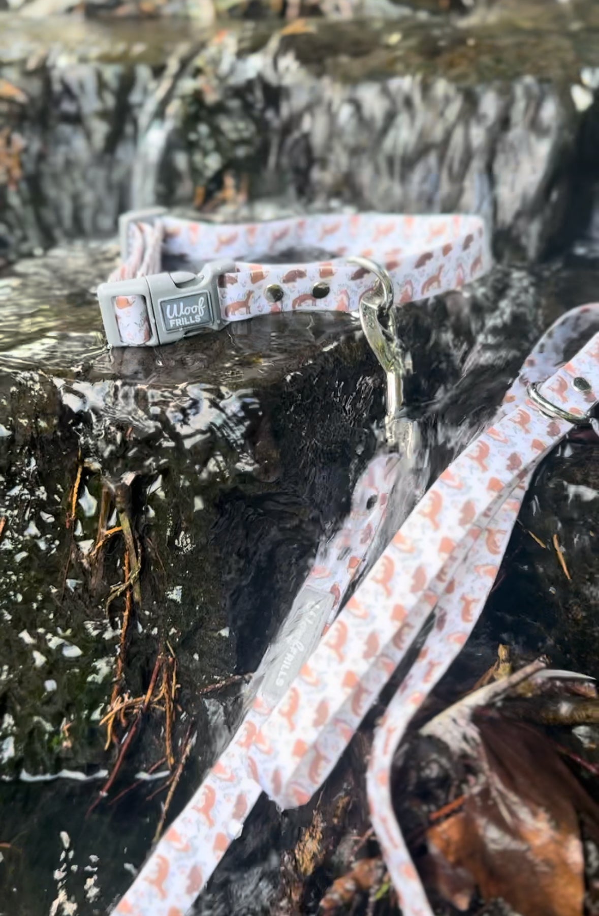 Waterproof Dog Lead |Enchanted Fox