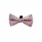 Dog Bow tie - Blossom Dreams | Velcro