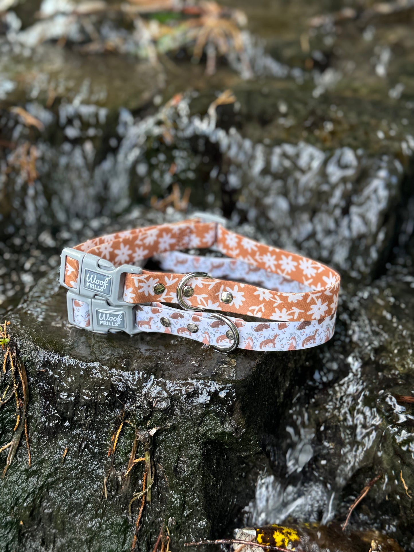 Waterproof Dog Collar | Enchanted Fox