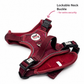 Step In Dog Harness | Mulberry Trails