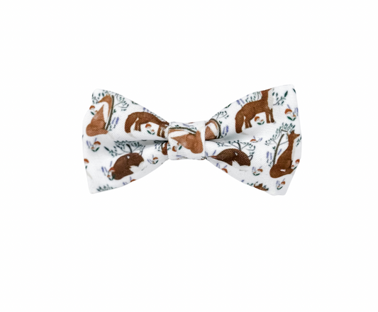 Dog Bow tie - Enchanted Fox