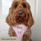 Dog Harness | Blushing with Love