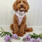 Dog Bow tie - Bloom me away Lilac
