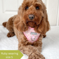 Dog harness, Dog collar and lead set | BUNDLE OF YOUR CHOICE | Blushing with Love