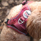 Step in Dog Harness Set | Mulberry Trails | Matching Collar, Lead & Bow | BUNDLE OF YOUR CHOICE