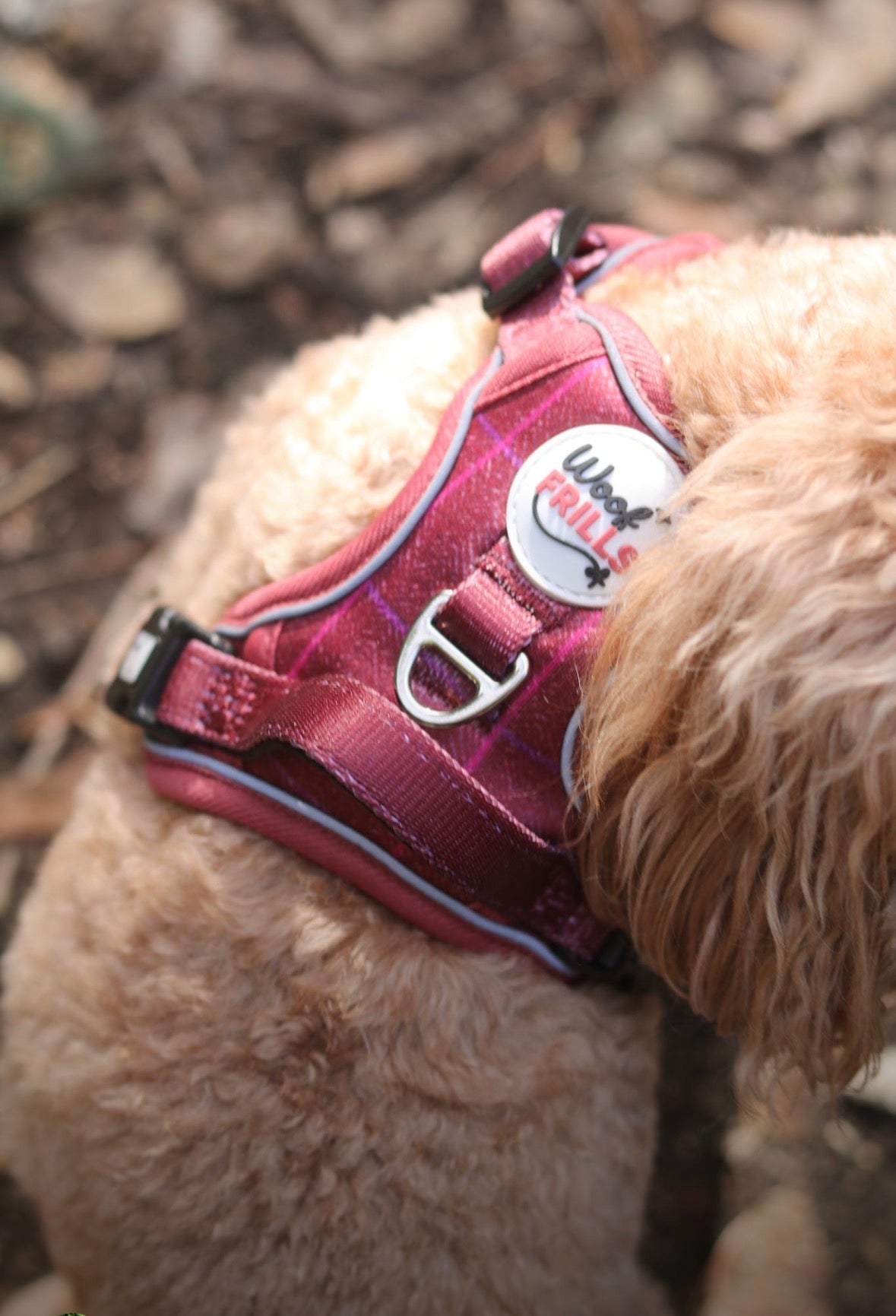 Step in Dog Harness Set | Mulberry Trails | Matching Collar, Lead & Bow | BUNDLE OF YOUR CHOICE