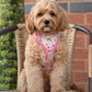 Dog harness , Dog collar and lead set | BUNDLE OF YOUR CHOICE | Blossom dreams with SAILOR BOW
