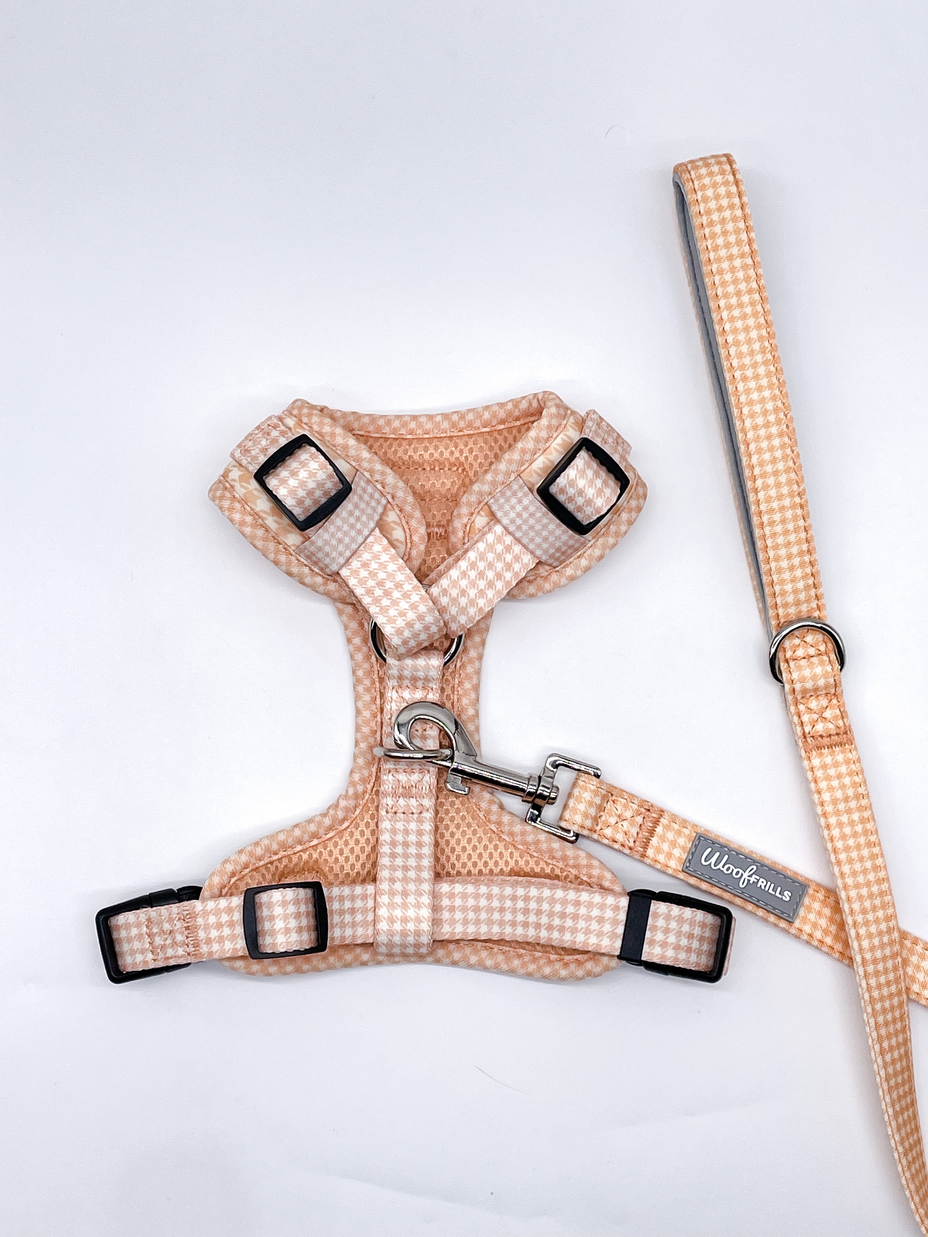 Girl dog store harness and lead