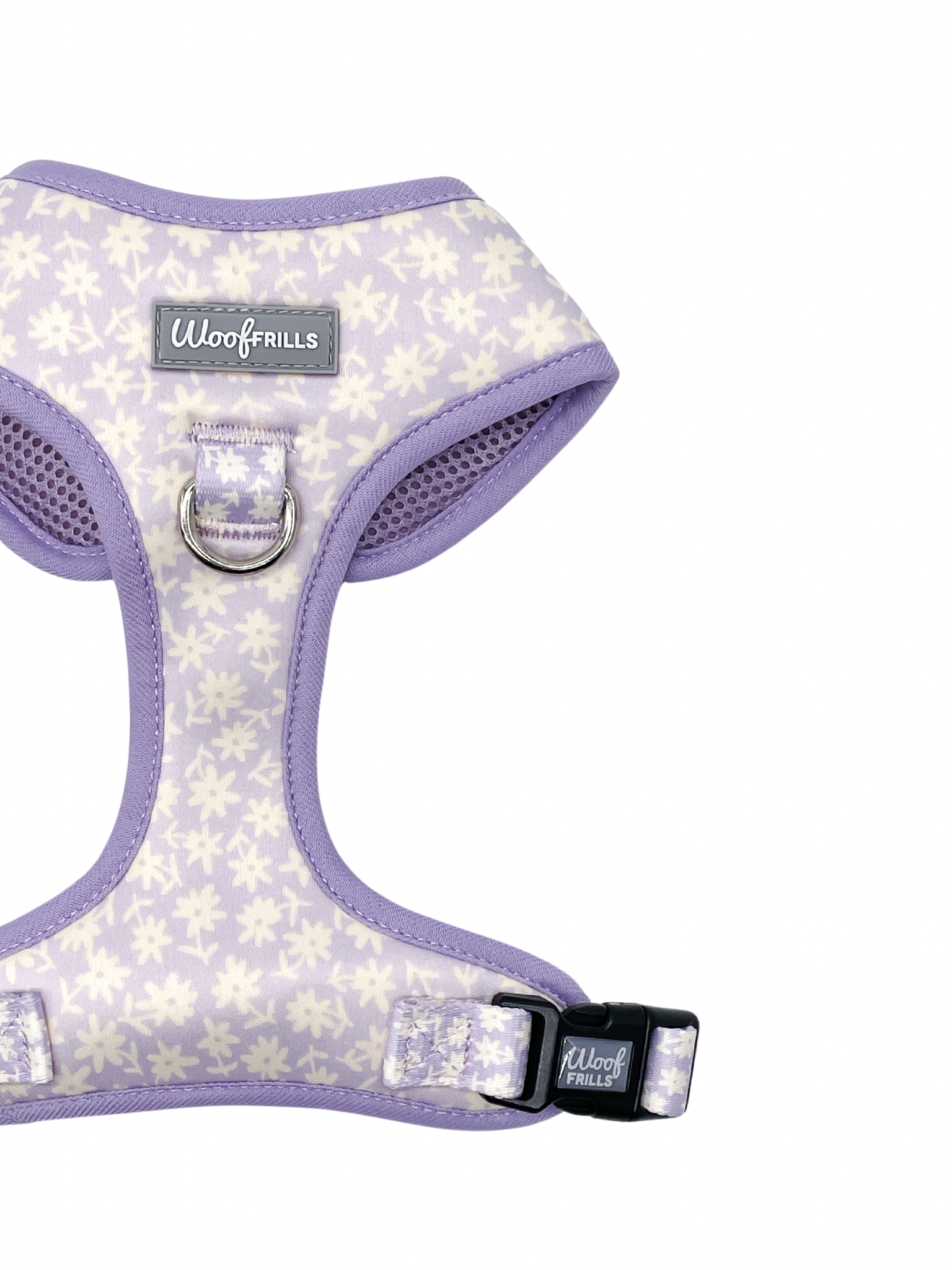 Daisy 2024 dog harness