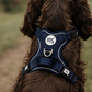 Step In Dog Harness | Midnight Trails