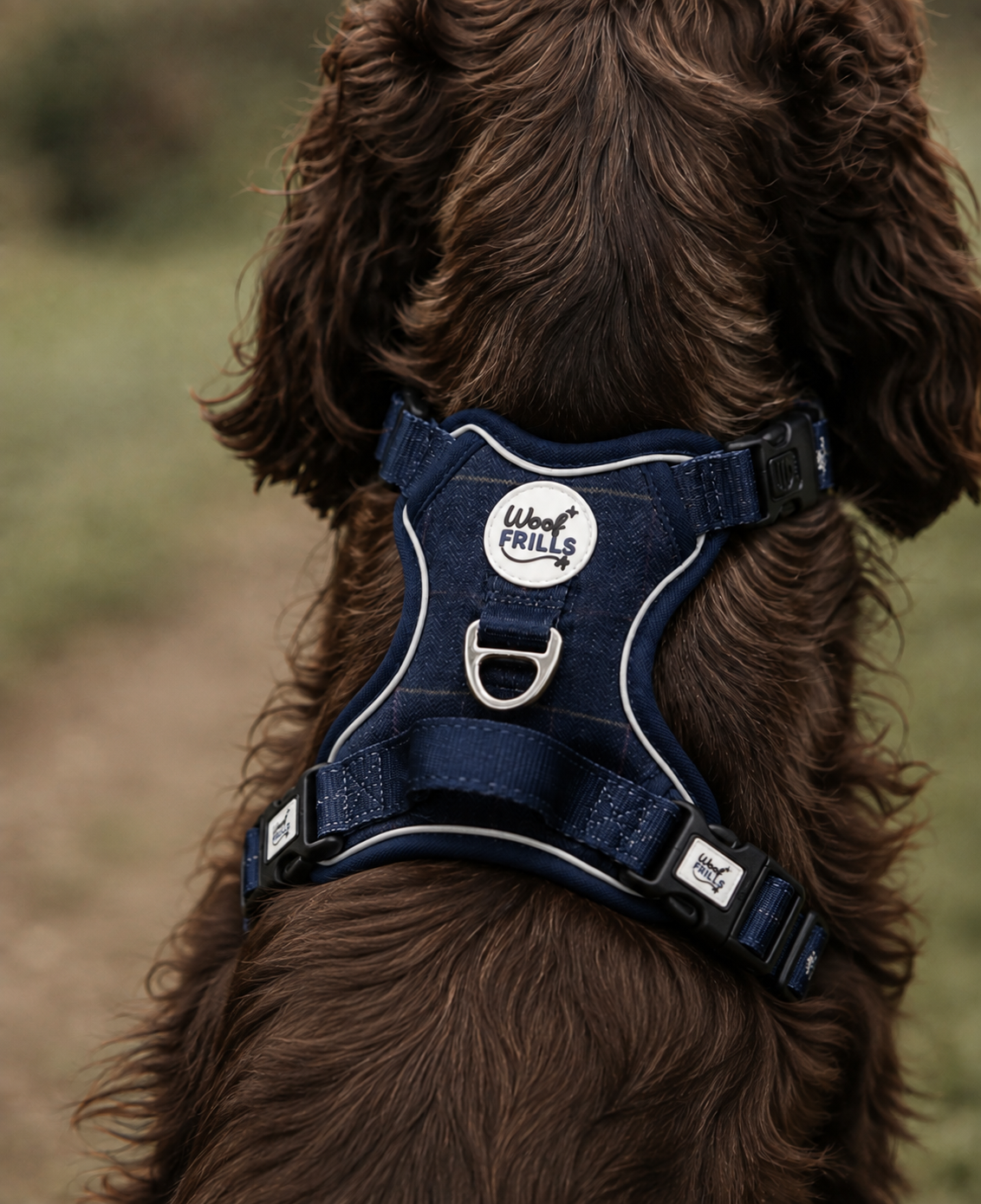 Step In Dog Harness | Midnight Trails