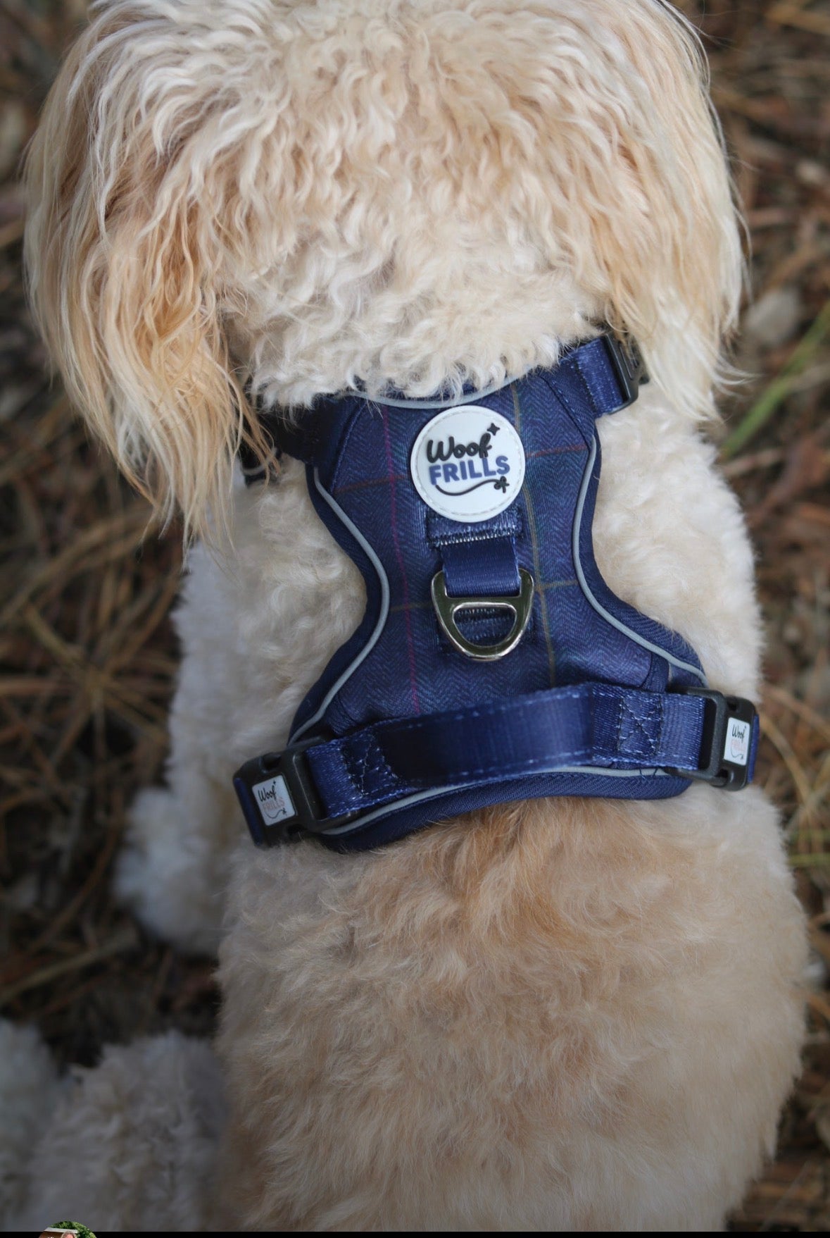 Step in Dog Harness Set | Midnight Trails| Matching Collar, Lead & Bow | BUNDLE OF YOUR CHOICE