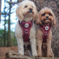 Step in Dog Harness Set | Mulberry Trails | Matching Collar, Lead & Bow | BUNDLE OF YOUR CHOICE