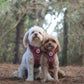 Step in Dog Harness Set | Mulberry Trails | Matching Collar, Lead & Bow | BUNDLE OF YOUR CHOICE