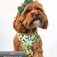 Dog wearing a floral harness and green bow on a white background