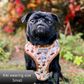 Dog Harness | Enchanted Fox