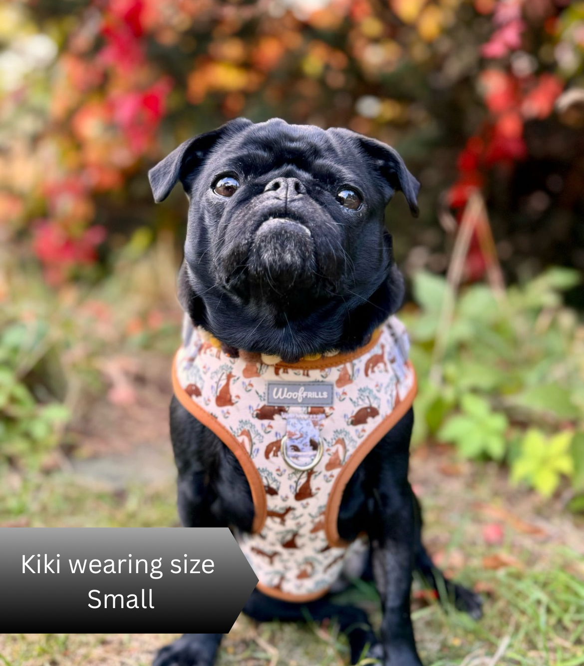 Dog Harness | Enchanted Fox