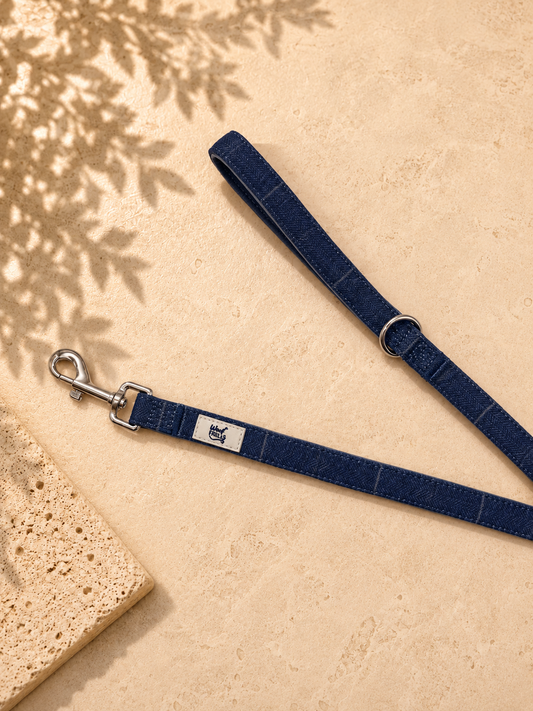 Blue Dog Lead – Midnight Trails(Durable & Classic Style)
