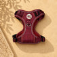 Step In Dog Harness | Mulberry Trails