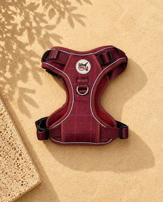 Step In Dog Harness | Mulberry Trails