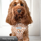 Dog Harness | Bloom me away