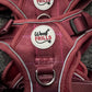 SECOND Step In Dog Harness | Mulberry Trails - PLEASE CHECK PHOTOS & DESCRIPTION