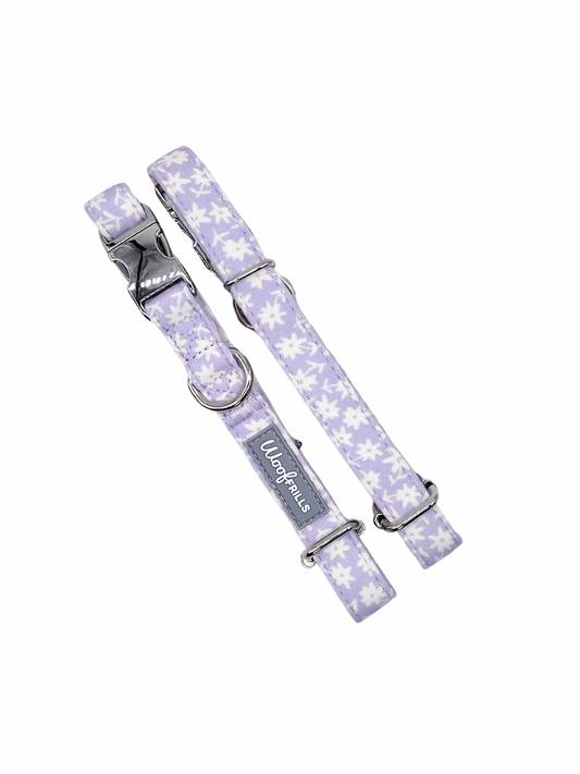 Dog Collar |  Bloom me away Lilac