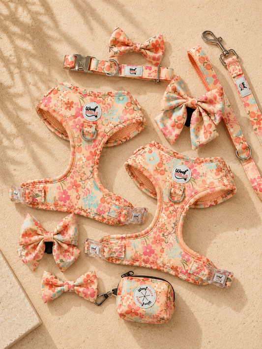 Floral dog harness set with matching lead collar and bow tie