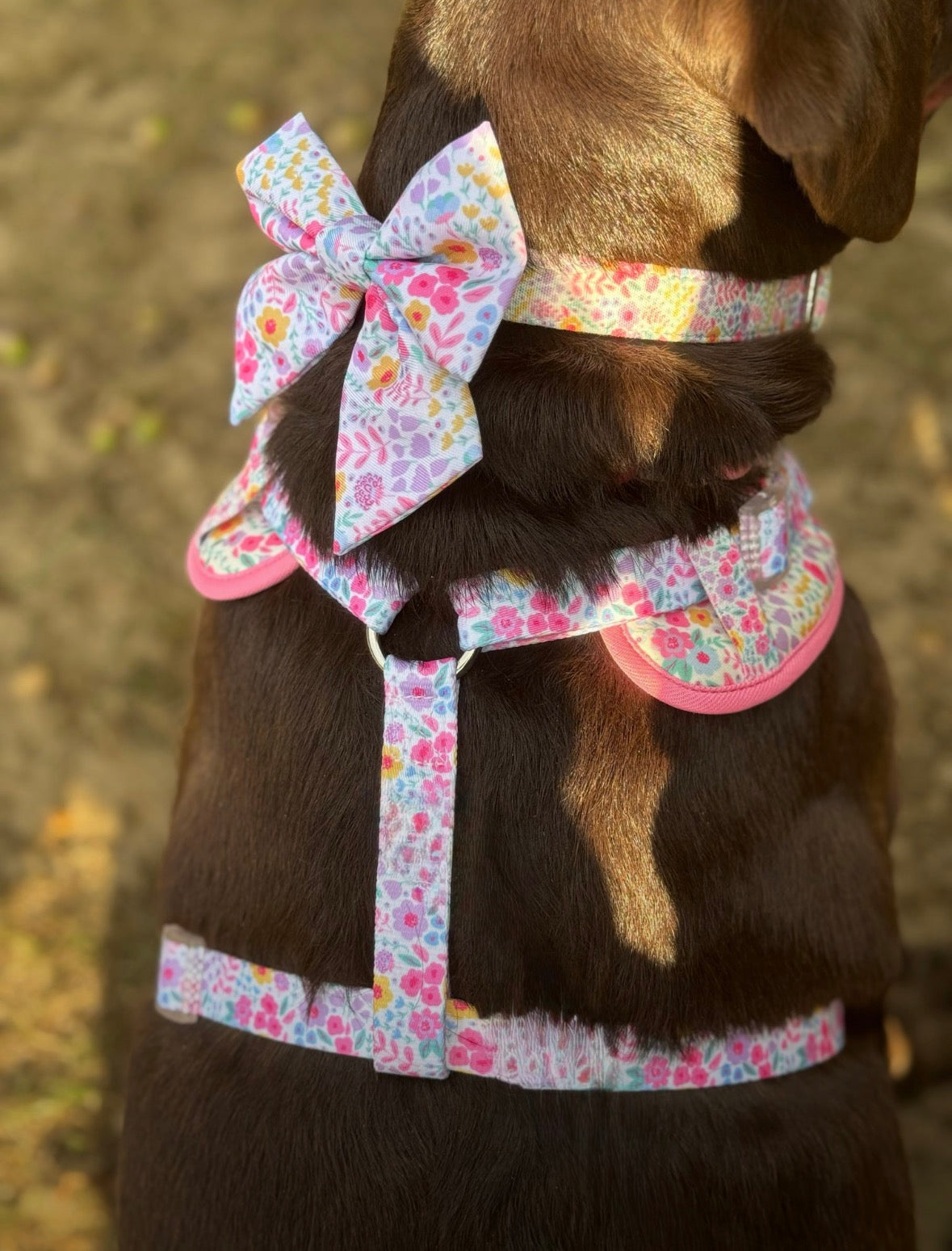 Floral Dog Harness Set – Blossom Dreams | Matching Collar, Lead & Bow | BUNDLE OF YOUR CHOICE