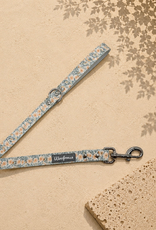 Waterproof Dog Lead | Wildflower Strolls